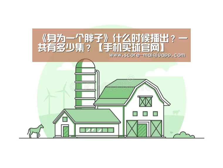 《身为一个胖子》什么时候播出?一共有多少集?【手机买球官网】(图1) 手机买球官网