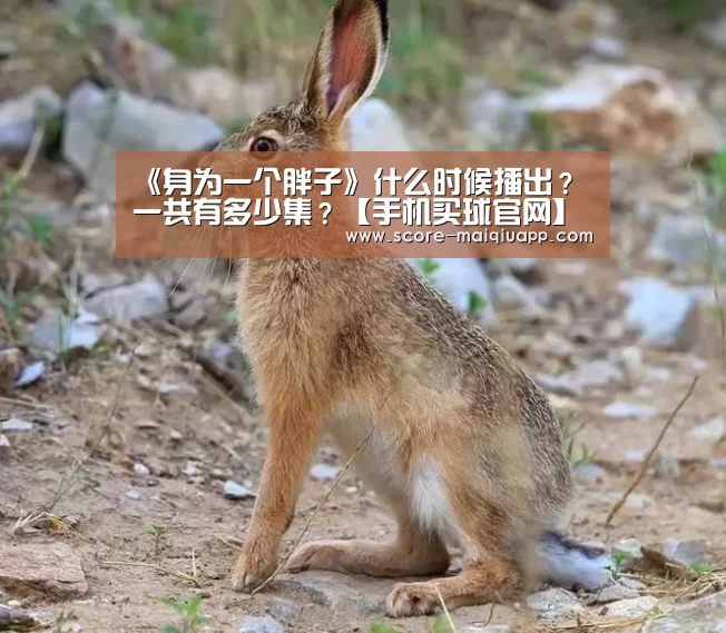 《身为一个胖子》什么时候播出?一共有多少集?【手机买球官网】(图3) 世界杯买球