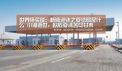 世界杯买球:新版泡沫之夏结局是什么 小澄逝世,欧辰夏沫苦尽甘来(图3) 世界杯买球